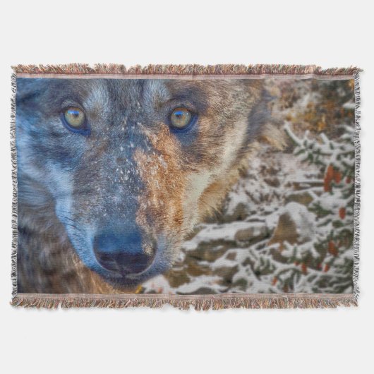 COUVERTURE GRAY WOLF HITER'S RANGER (Devant)