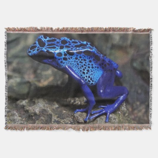 Couverture Grenouille bleue poison, grenouille bleue vive (Devant)