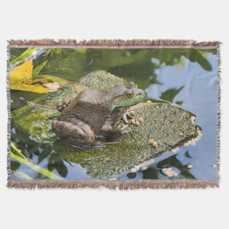 Couverture Grenouille - Vieux Coasseur