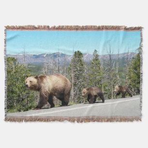 Couverture Grizzlies sauvages à Yellowstone Photo Souvenir