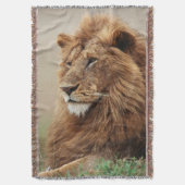 Couverture Gros plan sur un lion mâle (devant Vertical)