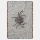 Couverture Grosse Femme Araignée, (devant Vertical)