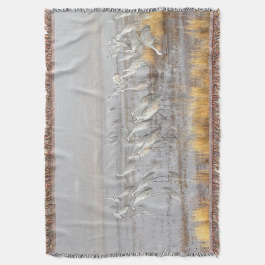 Couverture Grues de Sandhill (devant Vertical)