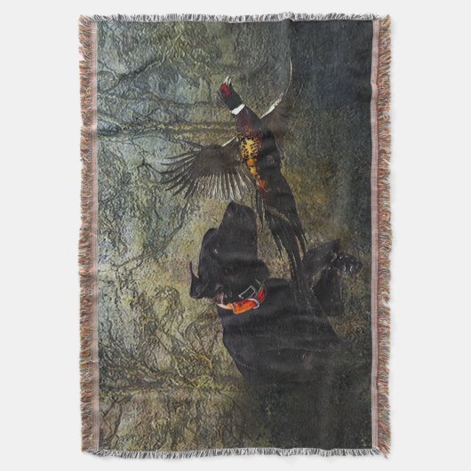 Couverture GSP, Chasse faisan (devant Vertical)