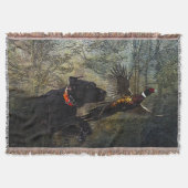 Couverture GSP, Chasse faisan (Devant)