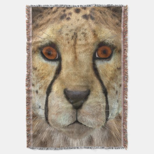 Couverture Guépard (devant Vertical)
