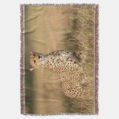 Couverture Guépard sur un petit monticule pour une meilleure (devant Vertical)