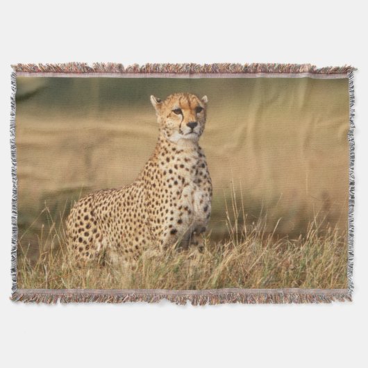 Couverture Guépard sur un petit monticule pour une meilleure (Devant)