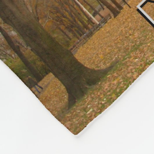 Couverture guidée de la couverture NYC de souvenir (Coin)