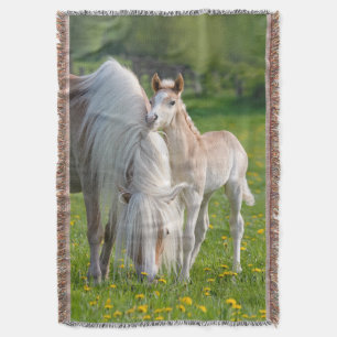 Couverture Haflinger Horses Cute Baby Foin Avec Maman Photo,