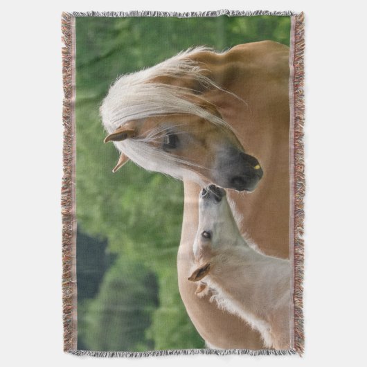 Couverture Haflinger Horses Foal Mare Cuddin, Doux (devant Vertical)