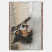 Couverture Happy Shelty (devant Vertical)