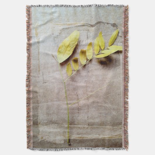 Couverture Herbarium V (devant Vertical)