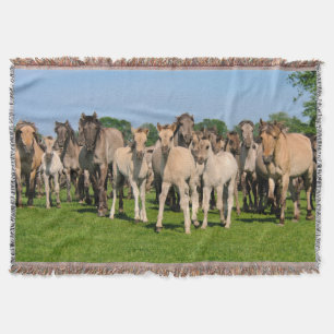 Couverture Herd Wild Grullo Coloured Dulmen Horses Foies doui