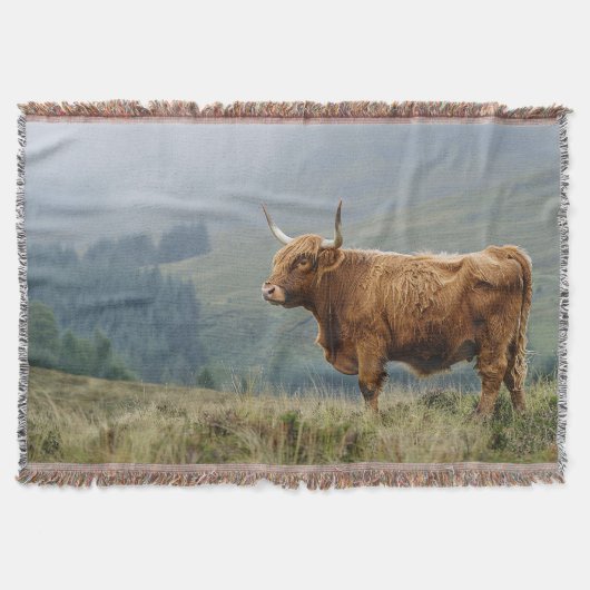 Couverture Highland Cow Misty Morning (Devant)