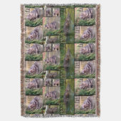 Couverture Hippo Photo Collage, (devant Vertical)
