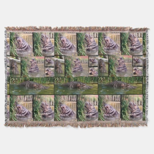 Couverture Hippo Photo Collage, (Devant)