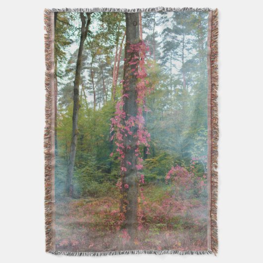 Couverture Humeur de la forêt (devant Vertical)