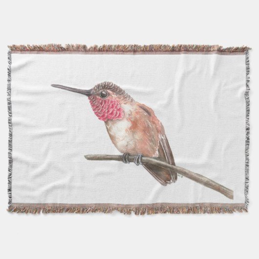 Couverture Hummingbird watercolor (Devant)
