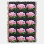 Couverture Hydrangées rose violet orange (devant Vertical)