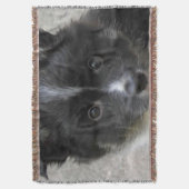 Couverture Icelandic Sheepdog 2014-0802 (devant Vertical)
