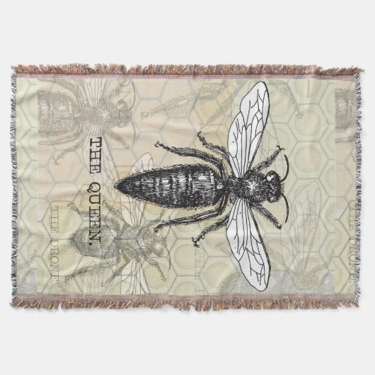 Couverture Illustration Antique d'Insecte de Bourdon Reine Ab (Devant)