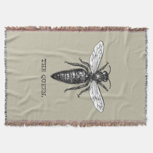 Couverture Illustration Antique d'Insecte de Bourdon Reine Ab (Devant)