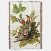 Couverture Illustration Audubon American Robin Wildlife Bird (devant Vertical)