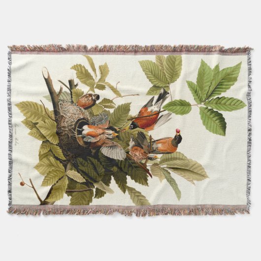 Couverture Illustration Audubon American Robin Wildlife Bird (Devant)