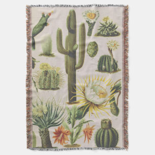 Couverture Illustration de cactus botaniques Vintages