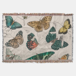 Couverture Illustration de papillon antique : 1820 Orfèvre