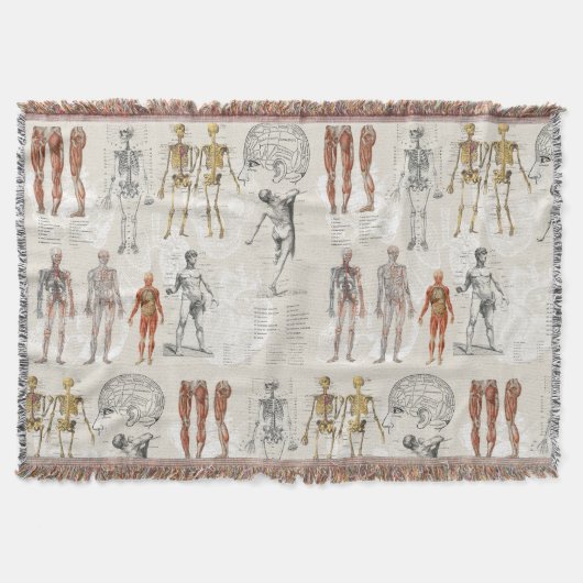 Couverture Illustrations de biologie anatomique vintage (Devant)