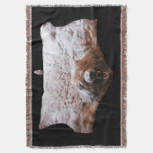 Couverture Image de la vraie fourrure de la tête d'ours (devant Vertical)