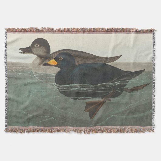 Couverture Impression de Macreuse noire d'Audubon : Canard cô (Devant)