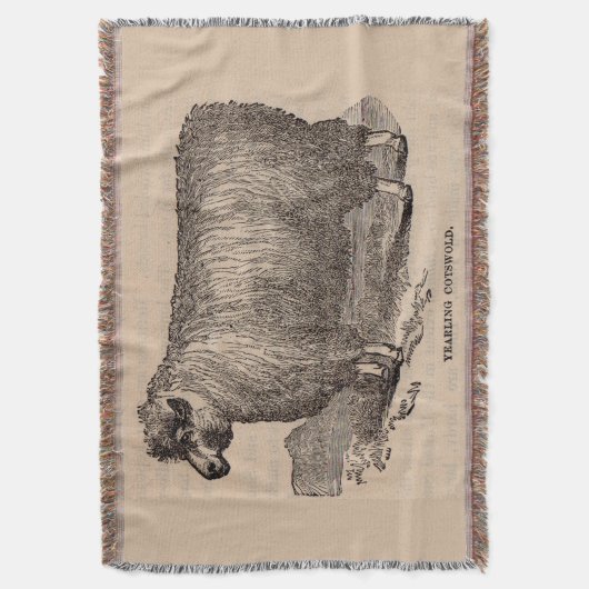 Couverture Imprimé au 19e siècle année Cotswold brebis (devant Vertical)