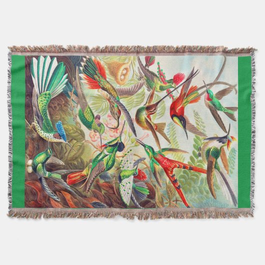 Couverture Imprimerie de colibris 1904 (Devant)