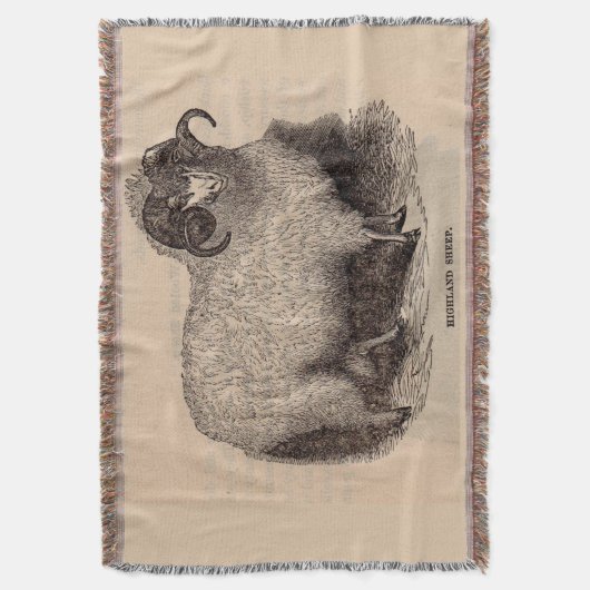 Couverture Imprimerie du 19e siècle moutons des Highlands (devant Vertical)
