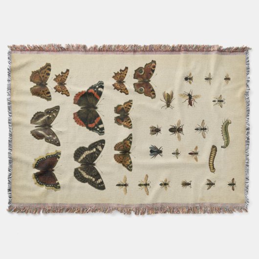 Couverture Insectes de jardin par Vision Studio (Devant)