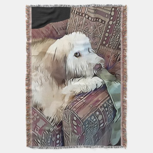 Couverture Jet de whoodle de heARTdog de MALACHI (devant Vertical)