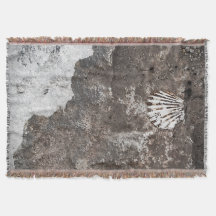 Jet fossile de Shell de feston