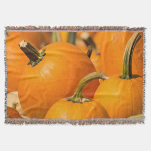 Couverture jetée de la récolte de citrouilles