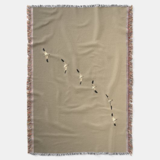 Couverture Jeter des Oies des neiges blanches en conception d (devant Vertical)