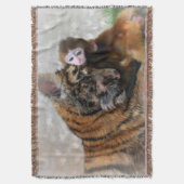 Couverture Jeter la couverture/le singe et le tigre (devant Vertical)