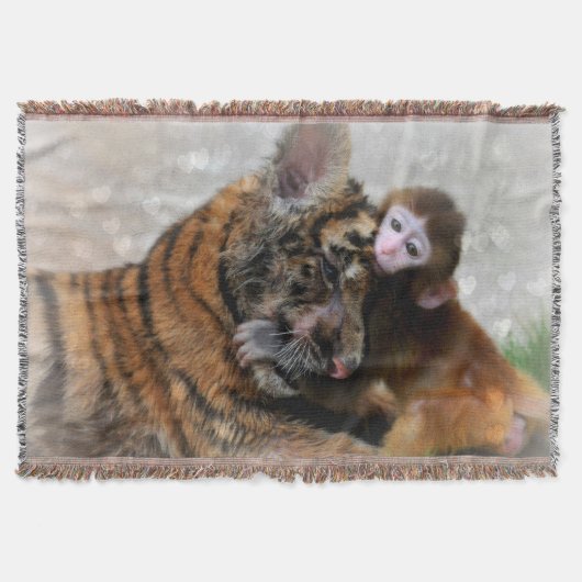 Couverture Jeter la couverture/le singe et le tigre (Devant)