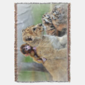 Couverture Jeter la couverture/le singe et les tigres (devant Vertical)