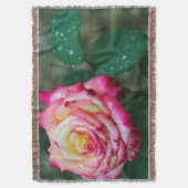 Couverture Jetez une couverture/Rose rose avec Dew du matin (devant Vertical)
