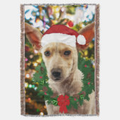 Couverture Joie au chiot (devant Vertical)