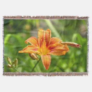 Couverture Jolie grande fleur Lily photo