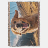 Couverture Joyeux Golden Retriever en cours (devant Vertical)