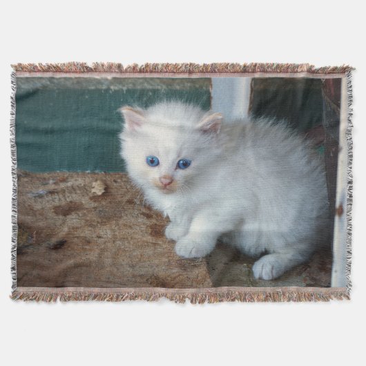 Couverture Kitten blanc (Devant)